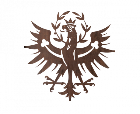 Tiroler Adler im Altholzrahmen klein